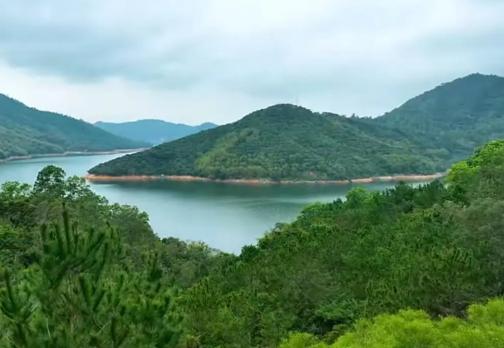 广西看风水比较好的师傅介绍   